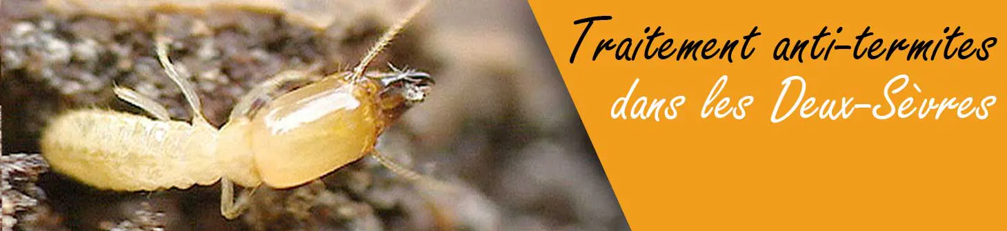 Traitement contre les termites souterrains