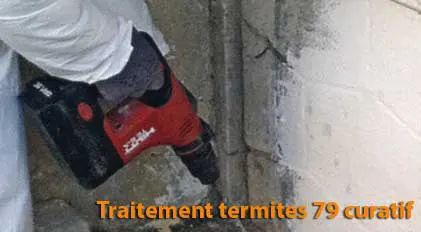 traitement termites 79 curatif