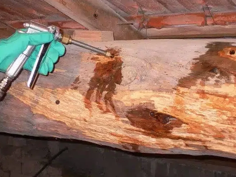 traitement insecticide contre vrillettes dans charpente en bois